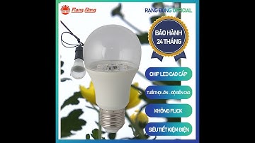 Đèn chiếu sáng cho hoa Cúc thương hiệu Rạng Đông