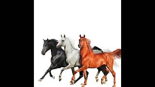 Lil Nas X & Billy Ray Cyrus - Old Town Road (Diplo Remix) (Radio Disney Version)