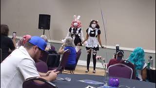Tiger Con 2021 Vlog
