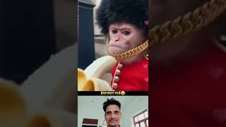 Shitpost compilation 1 🙌🏼