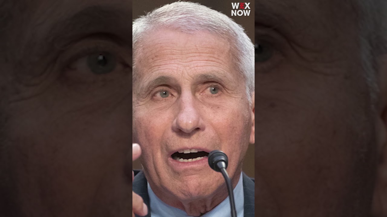 Rand Paul: ‘Anthony Fauci will answer to the American people’