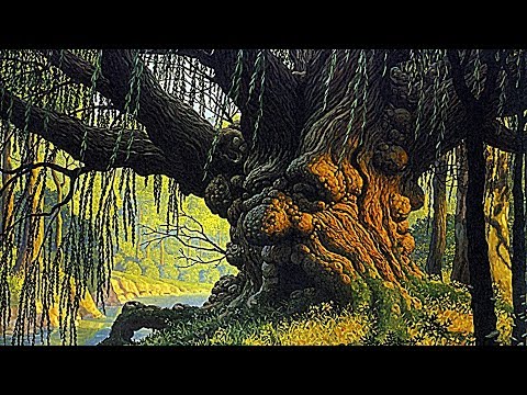 16 самых ДРЕВНИХ ДЕРЕВЬЕВ на Земле