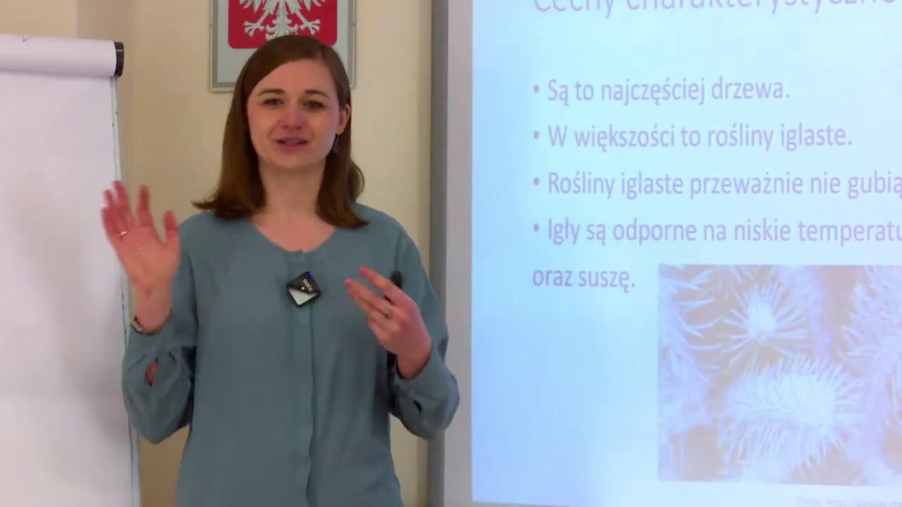 Sprawdzian Z Biologi Rośliny Nagonasienne Biologia - klasa 5 SP. Rośliny nagonasienne - YouTube