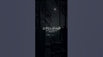 [ فمن ثقلت موازينه فأولئك هم المفلحون ] حالات واتس اب قرآن كريم | هيثم الدخين
