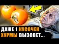 Для тех, кто ЕЛ Хурму! Вот Что ТВОРИТ ХУРМА с организмом человека...