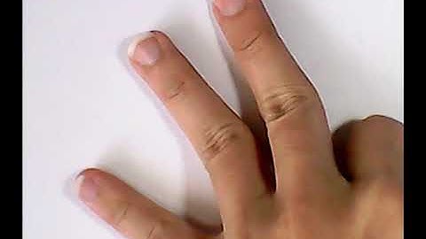 Deep Learning real-time hand gesture recognition 深度學習實時手勢辨識