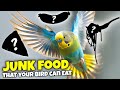 9 human foods you never knew your bird can eat