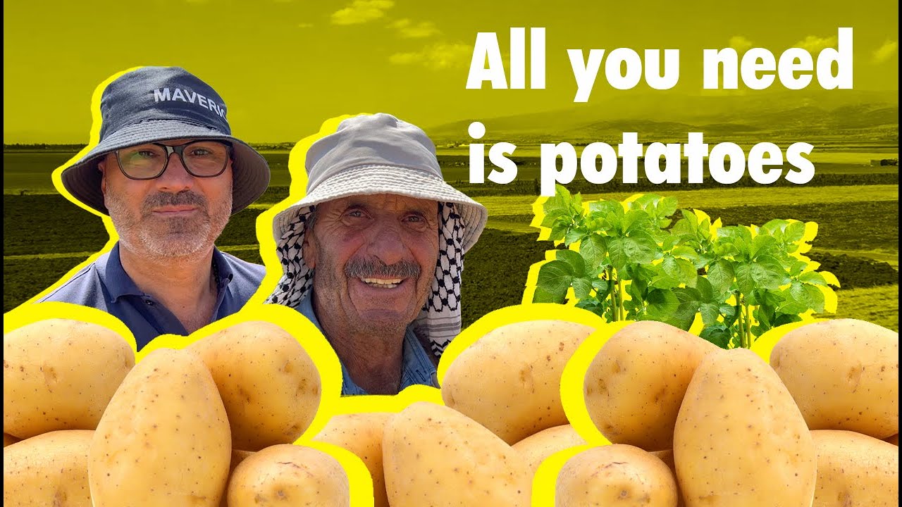 POTATO of Lebanon in Deir el Ahmar Everything You Need to Know, Export