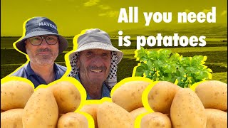 POTATO of Lebanon in Deir el Ahmar: Everything You Need to Know, Export & New Variety. بطاطس لبنان