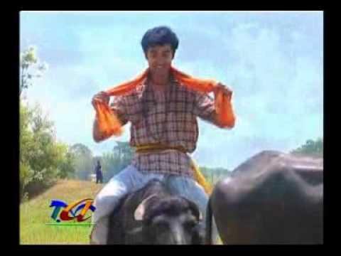 Sangamapa oriya melody song