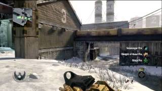 Diggy Playing TDM in Whack Ops= WTF