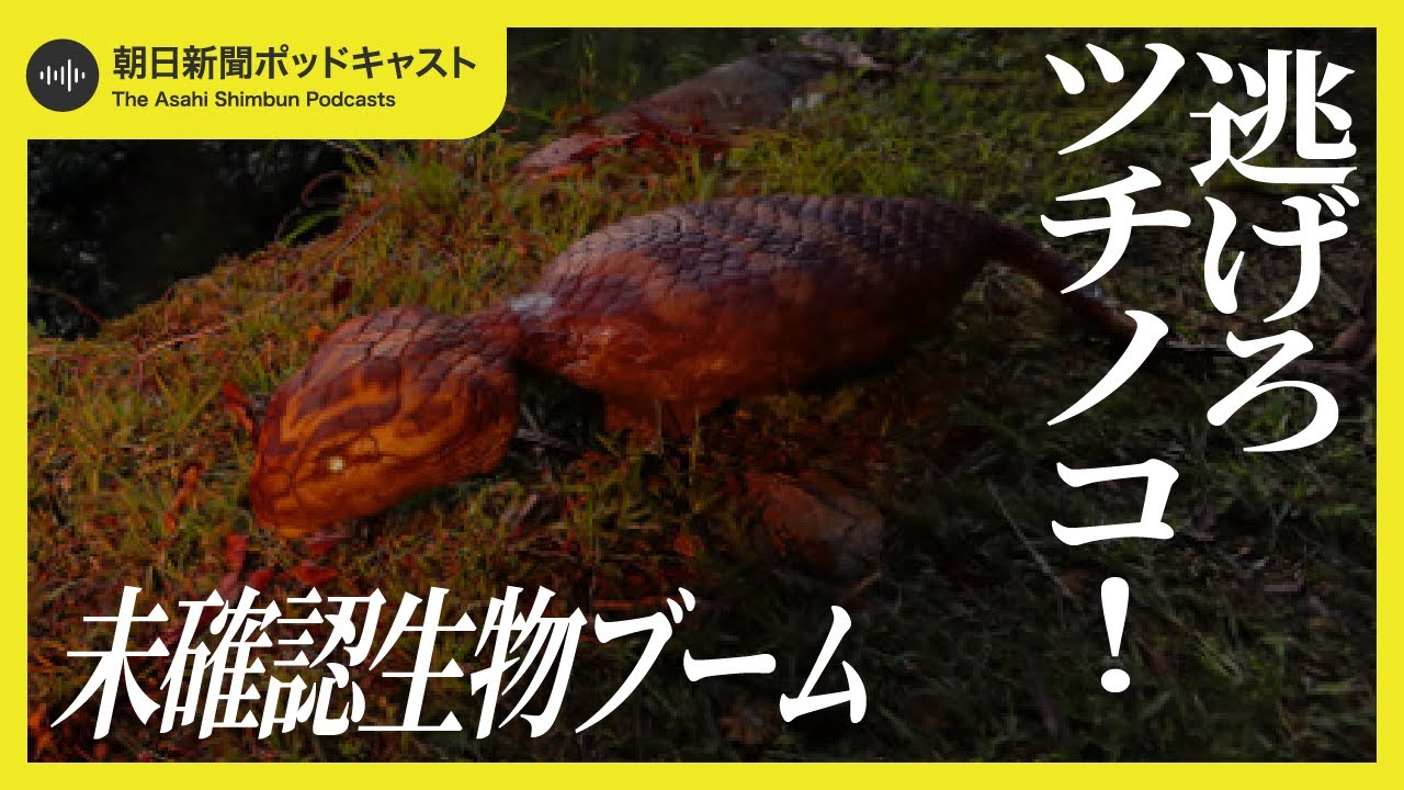 【目撃多数⁉】#3 未確認生物ブーム 逃げろツチノコ!自然開発と伝説は表裏一体 - YouTube