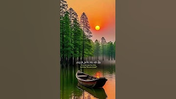 فَصَبۡرࣱ جَمِیلٌۖ عَسَى ٱللَّهُ أَن یَأۡتِیَنِی #quran #خالد_الجليل #سورة_يوسف #تلاوة_خاشعة #المصحف