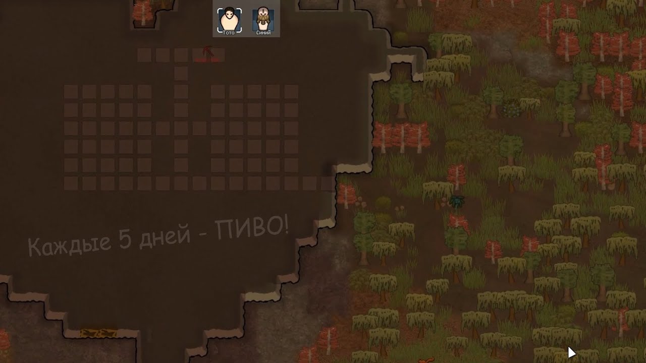 Немножко кулинар, немножко растениевод! - РИМКА - ДВОРФЫ! ???? II (1 ...