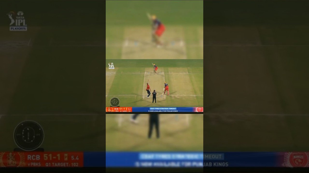 psalt revenge☠️ 🆚 Punjab super Kings🤕