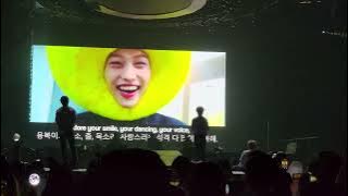 [4K] video gift from STAY and SKZ's reaction ‐ SKZ in Anaheim Day 2