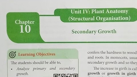 11th std botany  chapter 10 unit 4  Plant anatomy // All book back answers 