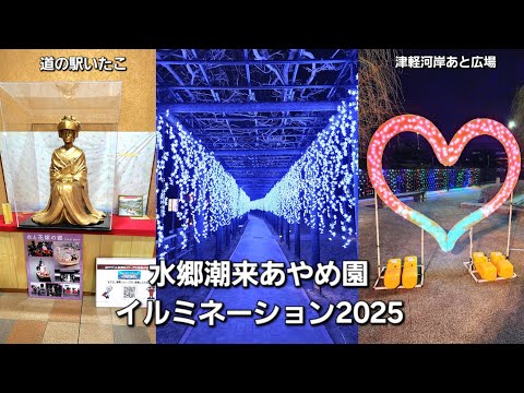 【茨城県】水郷潮来あやめ園イルミネーション2025