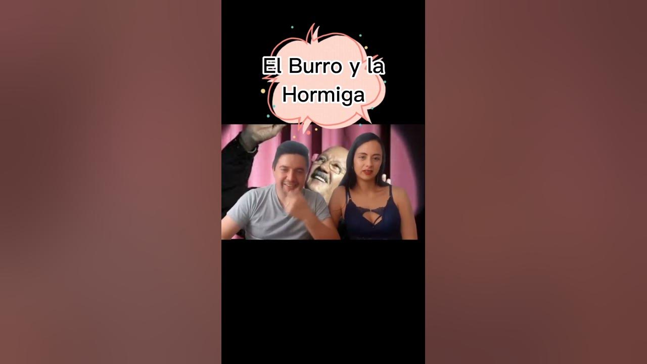 POLO POLO | La mejor PARTE DEL CHISTE el burro y la hormiga #shorts #polopolo #mexico