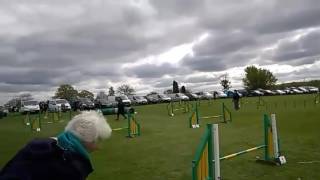 3rd in Novice Jumping, UKA EASTER