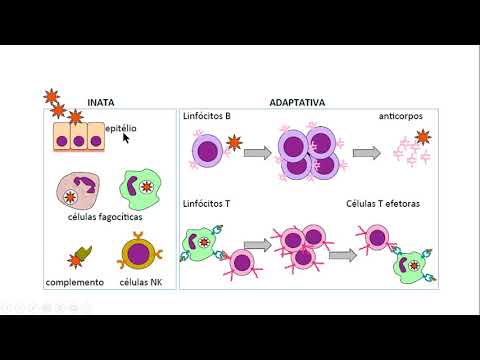 Resposta imune inata e adquirida