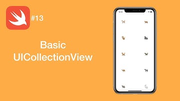 Basic UICollectionView - Swift #13 - iOS Programming