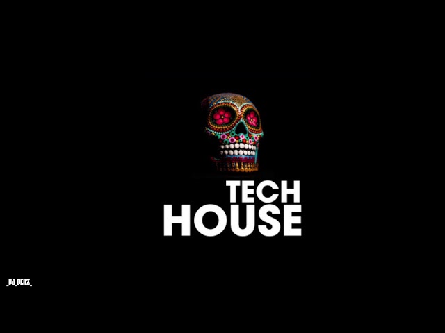 TECH HOUSE MIX 2024 (DJ DENZ) class=