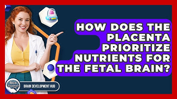 How Does The Placenta Prioritize Nutrients For The Fetal Brain? - Brain Development Hub