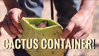 Desert Survival: Cactus Water Container -Junkyard Fox