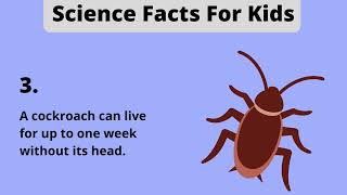 Science Facts For Kids