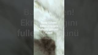 BANA GÜVEN!