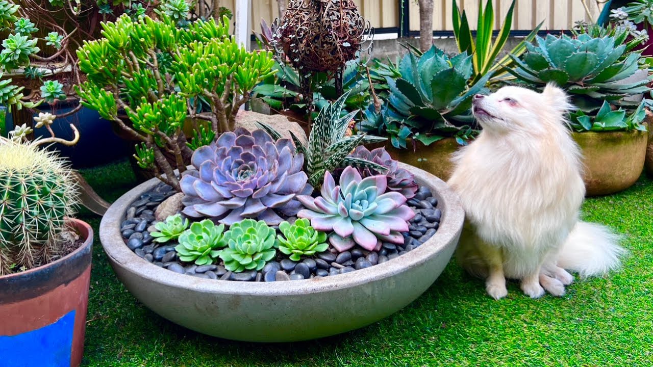 indoor plant pots self-watering Starter Kit | Self-watering Pot for Indoor Plants main image 0