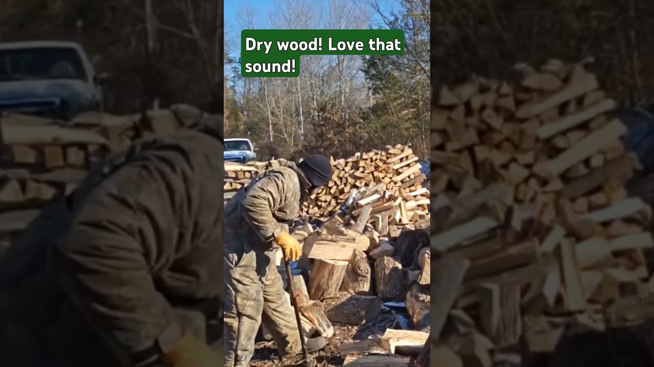 Sound of dry wood splitting!! 