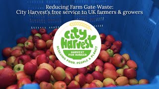City Harvest: Harvest for Hunger Farm Outreach 2025