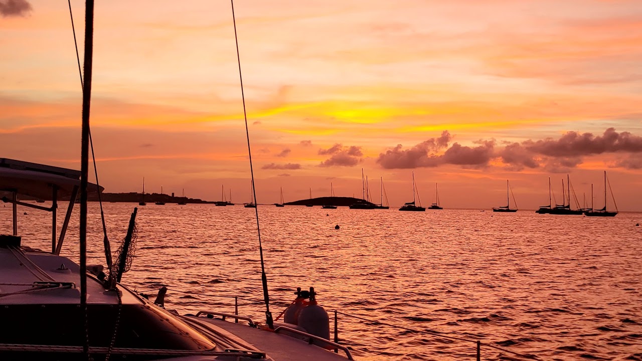 Sailing Deez Knots Live Stream