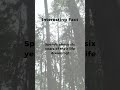Dreaming Through Life: The Surprising Truth About How Much Time We Spend Dreaming #factshorts #facts