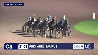 Vidéo de la course PMU PRIX ABELISAURUS