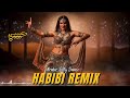 Arabic Pop EDM Electro Caravan Desert Inspired Dance Sound