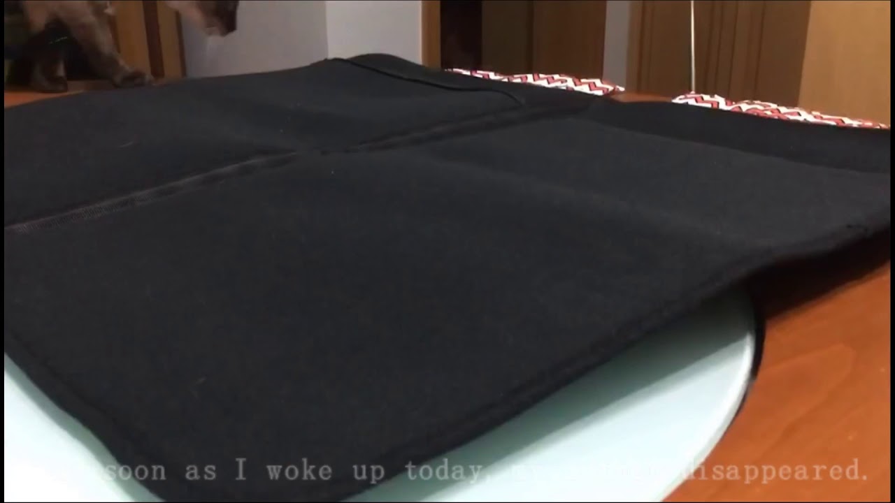 Dog pets cooling mat, summer cool!