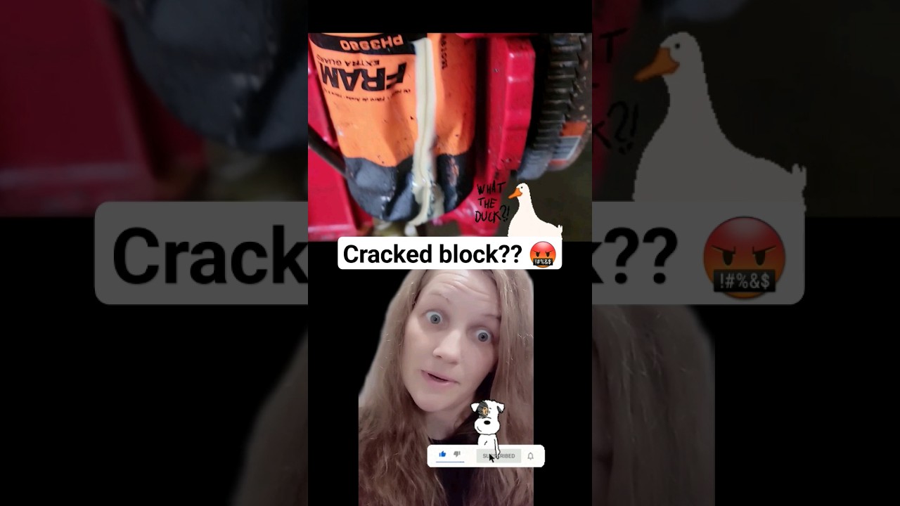 Cracked block on marine engine?? 🤬😵‍💫 