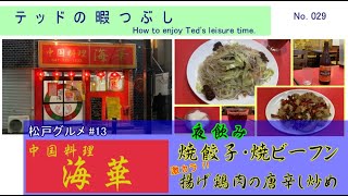 【松戸グルメ第13回】　テッドが、暇つぶしに松戸「中国料理　海華」で、焼餃子・焼きビーフンと激カラ料理で夜飲みを楽しんだ♪