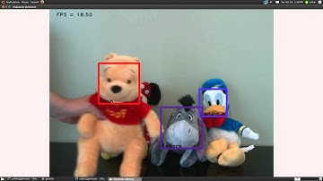 GenforMax Object Recognition 1.mp4