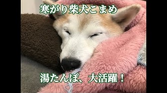 湯たんぽ Youtube 湯たんぽ Youtube