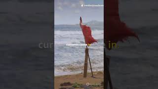 Rip Currents: The Hidden Danger Lurking at Every Beach!