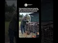 Spear Log Splitter in Action ⚡