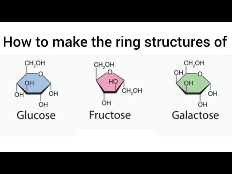 SOLVED: Two structures of the sugar fructose are shown: The cyclic structure  predominates in aqueous solution. Using the information from the open chain  structure, number the carbons in the cyclic structure. What