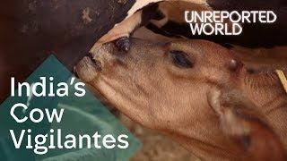 Video: India's Hindu vigilantes killing to protect Cows - Unreported World