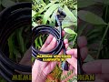 kabel hdmi bikin tampilan video lebih jernih dan stabil #kabelhdmi #kabelvideo #kabel4k
