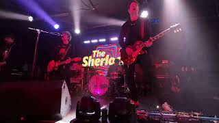 The Sherlocks Everything Must Make Sense at The Welly Hull