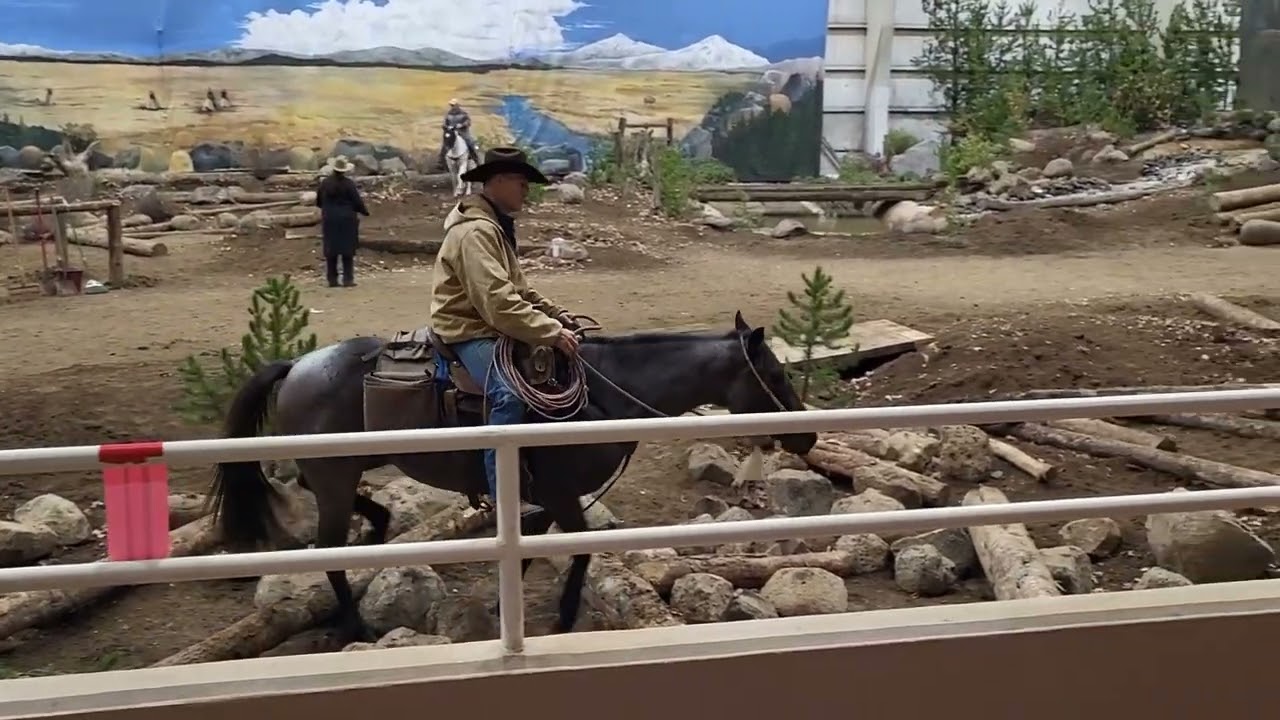 Oregon Horse Center, Mountain Trail Championship November 5, 2022.